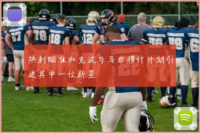 热刺瞄准加克波与马尔穆什计划引进其中一位新星